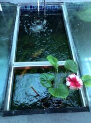 Grange Road (D10), Detached #466547951